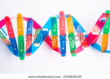 DNA or Deoxyribonucleic acid is a double helix chains structure formed by base pairs attached to a sugar phosphate backbone. Royalty-Free Stock Photo #2418640135