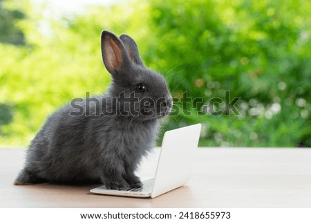 Tiny rabbit furry bunny small laptop online sitting on bokeh spring green background. Lovely baby rabbit looking notebook sitting on wooden natural background. Easter fluffy concept pet technology.