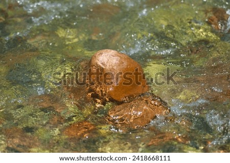 Orange-brown boulder in fast-flowing clear water of a stream. Photographed with short shutter speed