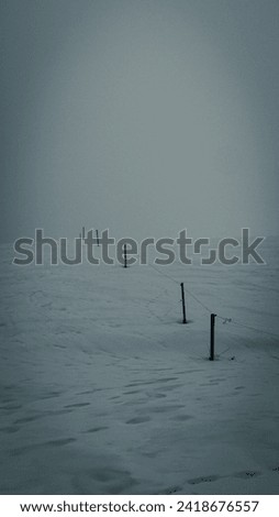Minimalistic picture of snow poles 