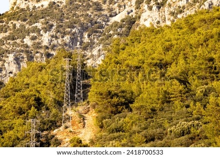 Landscape. Electric poles passing through the forest in the mountains. Energy line in nature. Environment. Horizontal photo. No people, nobody. 