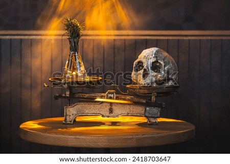 moody picture of scales with skull and herbs imitating good and evil