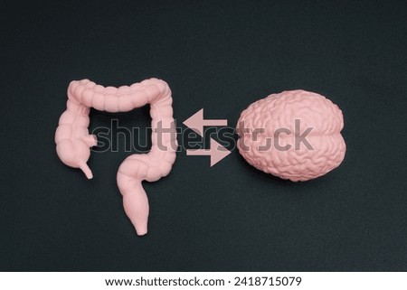 Close-up view of a human gut model and a detailed brain figurine isolated on black background with bilateral arrows. Brain and stomach interconnection concept. Royalty-Free Stock Photo #2418715079