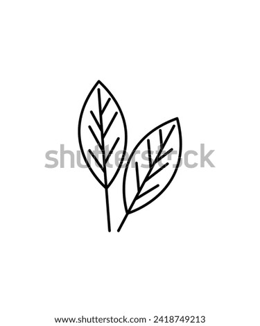 leaf icon, vector best line icon.