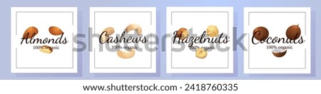 A set of flat illustrations of nuts: almonds, walnuts,cashews,pistachios,pecans,hazelnuts, brazil nuts, macadamia nuts,pine nuts, chestnuts peanuts and coconuts.