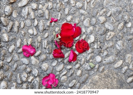 Floral decor broken on the road, green leaves forever on the asphalt, blurred city background in autumn, red, yellow, purple, branches and leaves and trash container