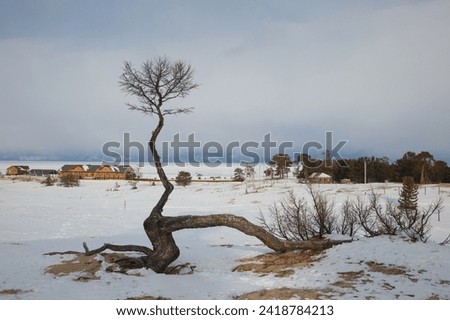 Winter landscape Olkhon island, Baikal.