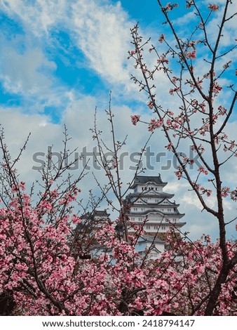 Pink colored trees with Himeji Castle background 