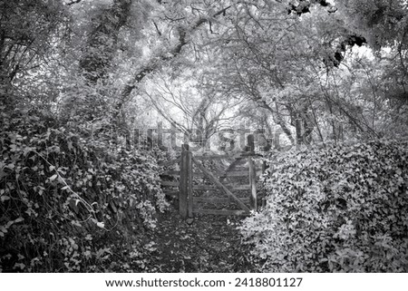 Infrared woodland gate near Malpas in Cornwall england uk black and white 