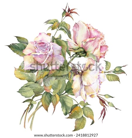 Watercolor painting of rose flowers. Isolated floral clip art. Botanical hand drawn illustration.