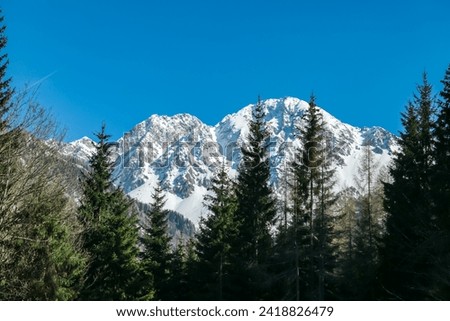 Scenic view of snow capped mountain peak Hochstuhl (Stol) seen from Bärental in Karwanks, Carinthia, Austria. Remote alpine landscape in springtime in Austrian Alps, Europe. Idyllic trail in forest Royalty-Free Stock Photo #2418826479