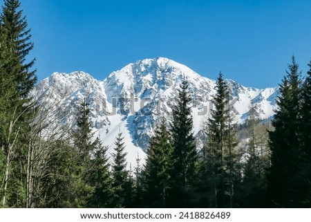 Scenic view of snow capped mountain peak Hochstuhl (Stol) seen from Bärental in Karwanks, Carinthia, Austria. Remote alpine landscape in springtime in Austrian Alps, Europe. Idyllic trail in forest Royalty-Free Stock Photo #2418826489