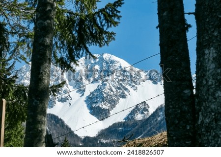 Scenic view of snow capped mountain peak Hochstuhl (Stol) seen from Bärental in Karwanks, Carinthia, Austria. Remote alpine landscape in springtime in Austrian Alps, Europe. Idyllic trail in forest Royalty-Free Stock Photo #2418826507