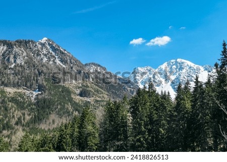 Scenic view of snow capped mountain peak Hochstuhl (Stol) seen from Bärental in Karwanks, Carinthia, Austria. Remote alpine landscape in springtime in Austrian Alps, Europe. Idyllic trail in forest Royalty-Free Stock Photo #2418826513