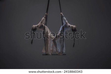 Female gymnastic duo isolated on monochrome studio background. Girls aerial dancers spin on acrobatic trapeze with straps.