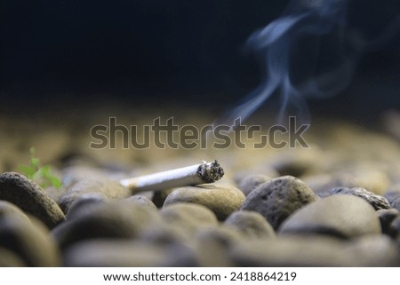 a cigarette with burning embers and ash at the end that emits white smoke between the rocks