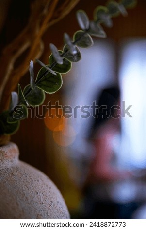 Interior bokeh blur backgrounds with ornamental tree branches in a clay ceramic vase and a person standing looking out the window, a waking up morning routine image 