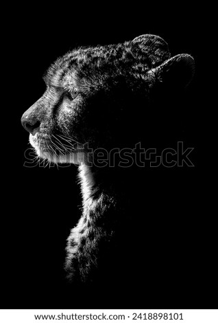 A minimalist cheetah profile in monochrome on a black background