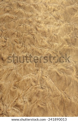 Background of grown sand and water.