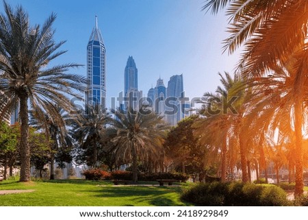 Cityscape of Dubai, summer park with palm and skyscrapers, sunlight. Amazing view skyline. Concept travel tourism in UAE.
