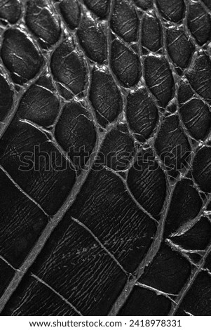 Black premium crocodile leather texture background luxury fashion