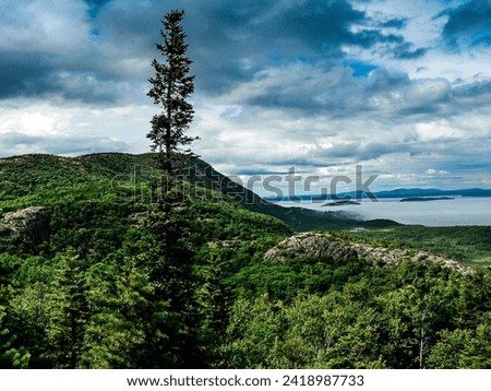Cloudy, Foggy Day at Acadia National Park in Summer, Maine