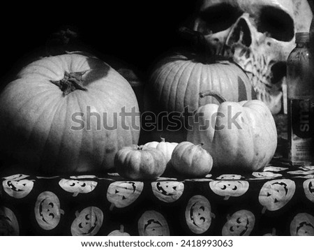 A monochrome photograph of Halloween in central Florida. 