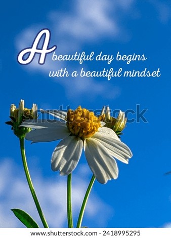 Inspirational life quote: a beautiful day begins with a beautiful mindset