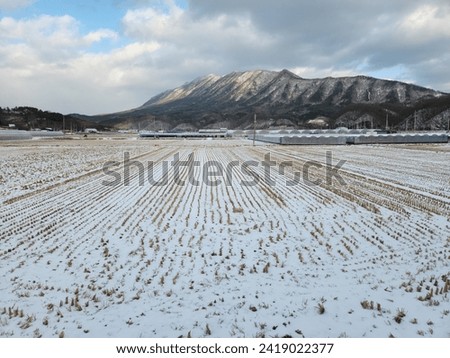 Pictures of winter rice fields after snowfall and the beauty of snow-covered mountains