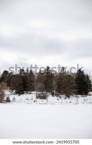 Winter landscape with snow-covered fields and trees in the background.