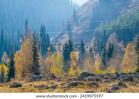 The autumn forest is a stunning spectacle of bright colors. The beauty of nature comes alive with fiery reds golden yellows and rustic oranges. In autumn, a breathtaking canvas awaits in the mountains