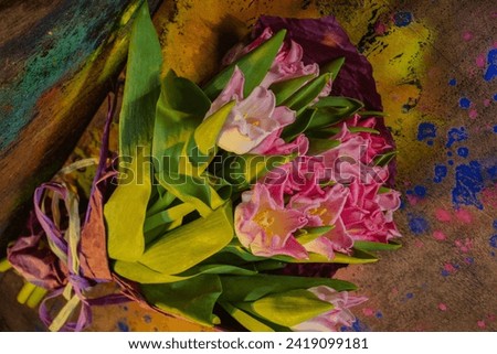 Flowers tulips- spring mood. Photography- clip art