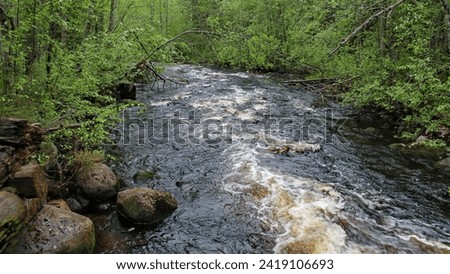 A river with rapids flowing in the wake of a wild forest. Republic of Karelia. Russia. Royalty-Free Stock Photo #2419106693