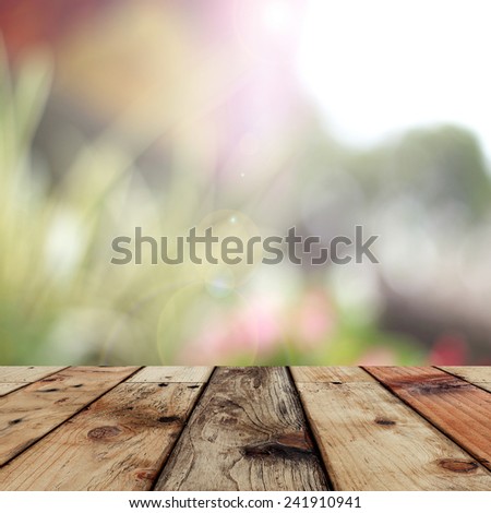 wood textured backgrounds in a room interior on the forest backgrounds