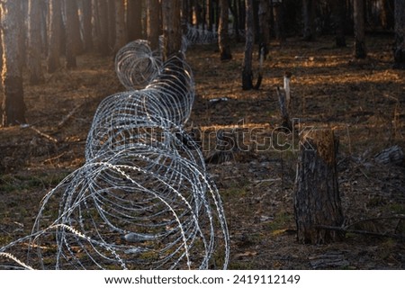 
Border wire fence trough pine forest. protecting the state's border from illegal migration and russian invasion. defending and regaining occupied territory 
 Royalty-Free Stock Photo #2419112149