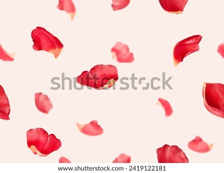 seamless pattern of red flower petals on pink background Royalty-Free Stock Photo #2419122181