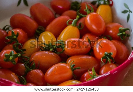 The cherry tomato is a type of small round tomato believed to be an intermediate genetic admixture between wild currant-type tomatoes and domesticated garden tomatoes. Royalty-Free Stock Photo #2419126433