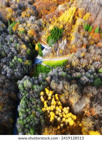 Autumn in forest aerial top view. Mixed forest. Soft light in countryside woodland or park. Drone shoot above colorful green texture in nature