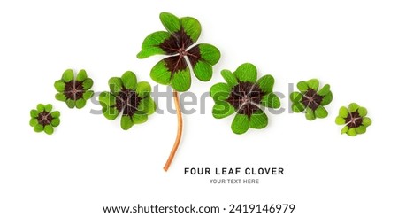 Green four leaf clover creative layout isolated on white background. Lucky clover banner border composition . St. Patrick day. Top view, flat lay. Design element
