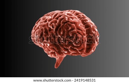 Realistic model of brain, outside view. 3D pink human cerebrum in cartoon style. Banner for medical applications, educational sites.  Royalty-Free Stock Photo #2419148531