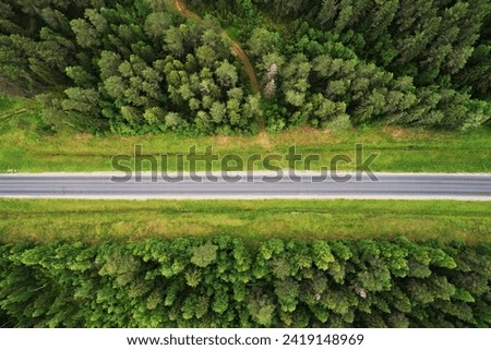 Top view of the asphalot road and dense green forests. Beautiful bright landscape photography with drone on a summer day