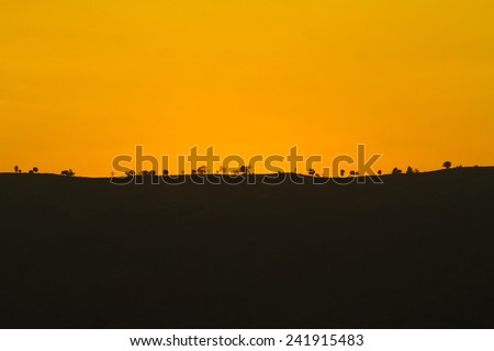 Trees silhouetted on a mountain, in twilight sky