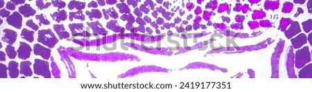 Watercolour Wallpaper. Violet Ethnic Hipster Backdrop. Exotic Print. Blue Cheetah Tropical. Multi Paint. Trendy Zebra Mix Texture. Animal Skin.