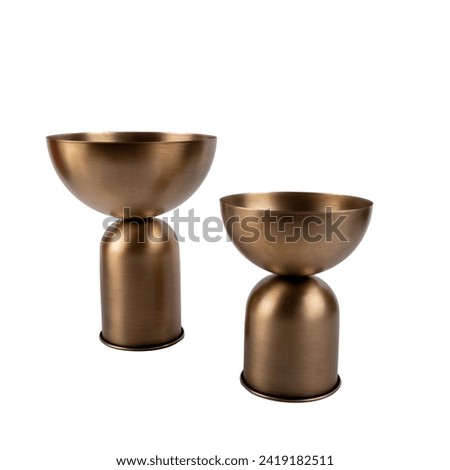 luxury decorative metal flower pot with isolated