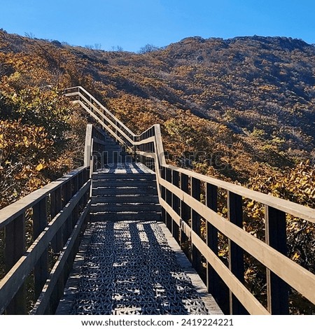 A view of a wooden decked promenade that helps people who are not well due to disabilities to climb high mountains easily. If you take a walk through this road, you can stop and take a picture of it.