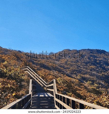 A view of a wooden decked promenade that helps people who are not well due to disabilities to climb high mountains easily. If you take a walk through this road, you can stop and take a picture of it.
