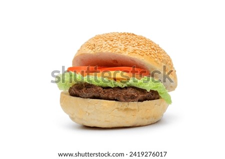 Sandwich, hamburger, fast food closeup on white background