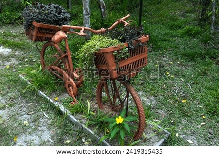 Vintage bicycle with baskes full of potted plants, close up. Park decoration object 
