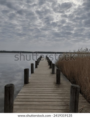 a wooden dock extending over a body of water with cloudy skies in the background. The landscape features a lake and a wooden pier, creating a serene and natural setting. Royalty-Free Stock Photo #2419319135