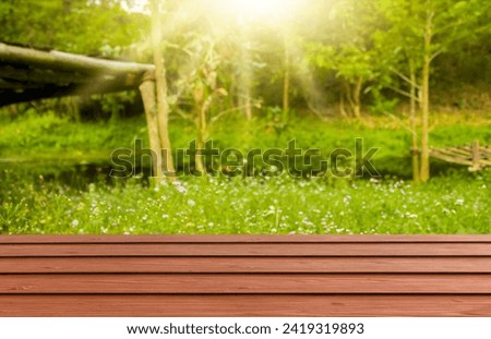 Wooden table surface or texture, isolated blurred background, trees and natural places